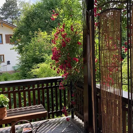 Apartment Viel Raum Fur Ferien